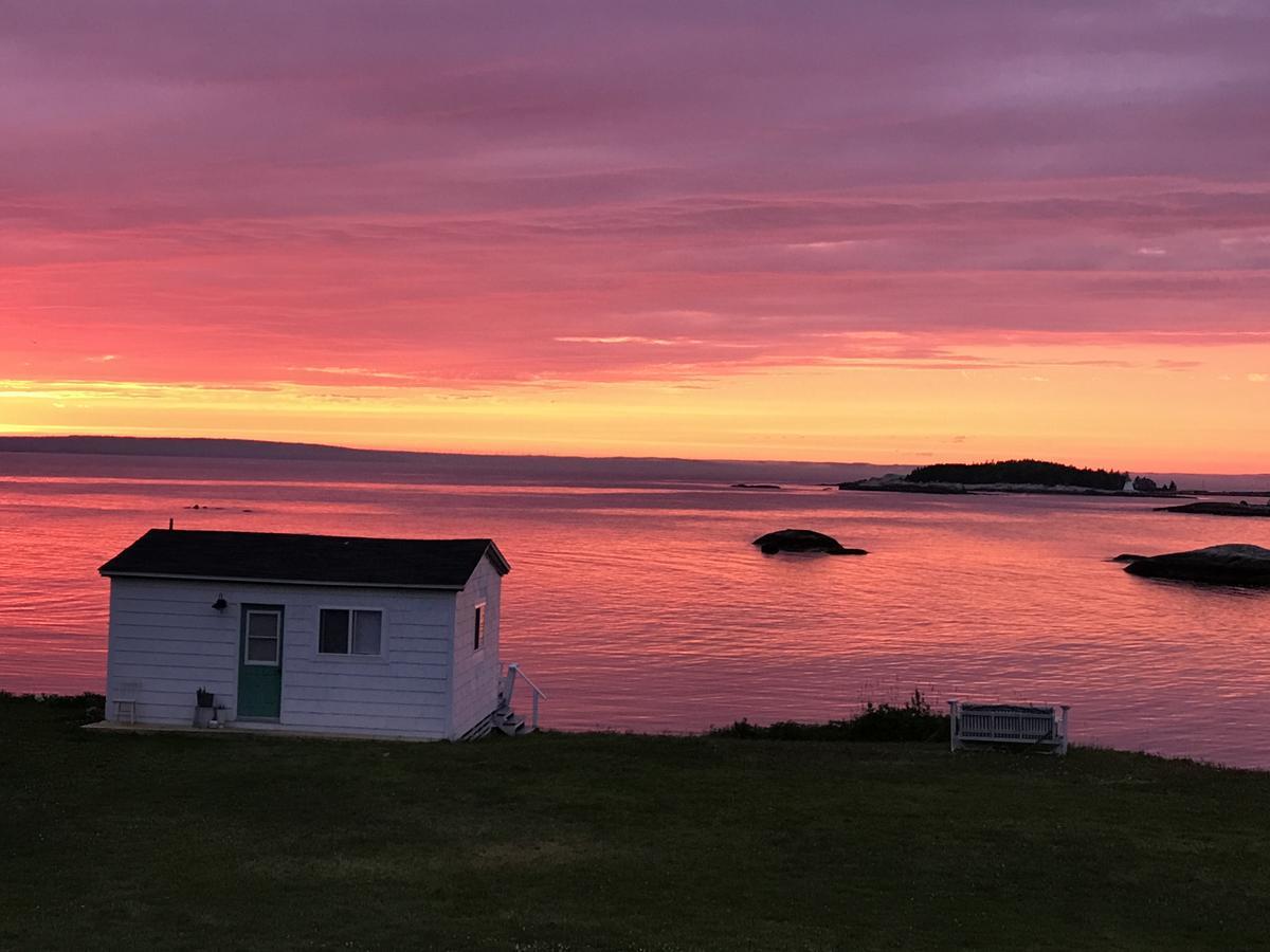 Bluefin Cottage Indian Harbour Exterior photo