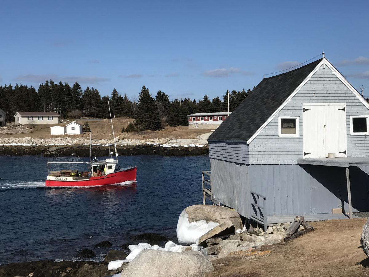 Bluefin Cottage Indian Harbour Exterior photo